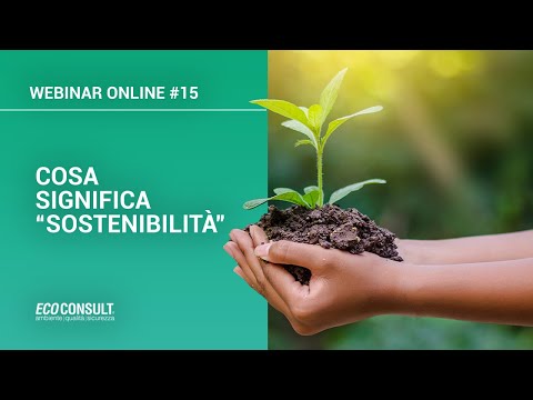 Cosa significa sostenibilità